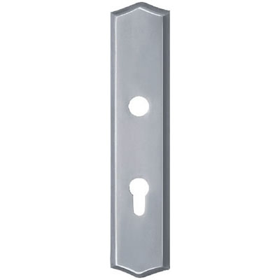 Stainless Steel Handle Plate